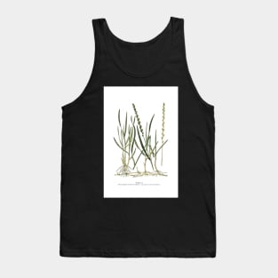 Couch Grass Tank Top